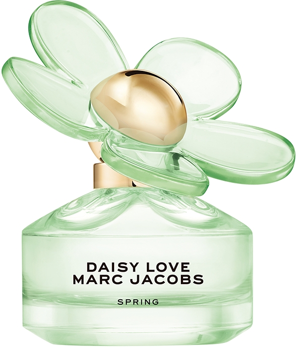 Daisy Love Spring Daisy Love Spring
