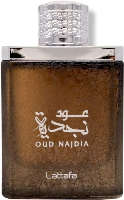 Oud Najdia