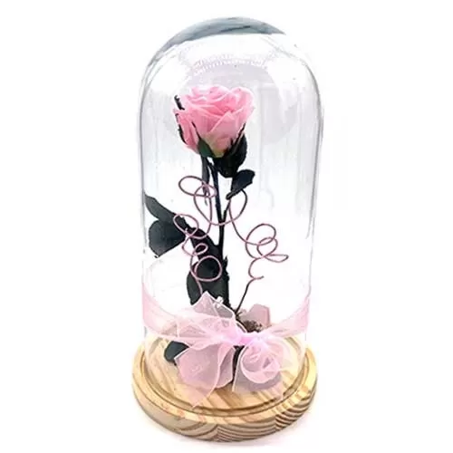 Rosa Bella y Bestia Rosa Rosa Bella y Bestia Rosa