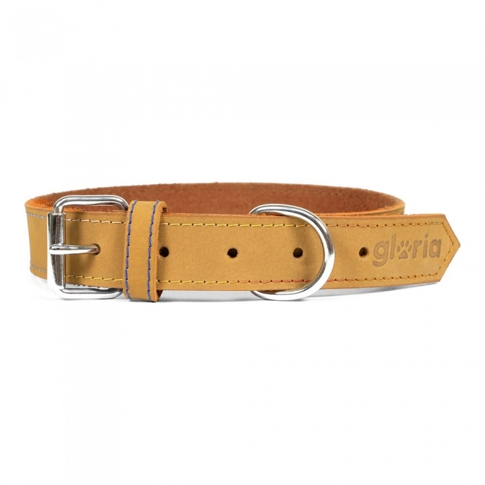 Collar para Perro Gloria Oasis Amarillo (55 x 2,5 cm)