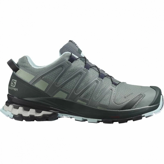 Zapatillas de Running para Adultos XA PRO Salomon 3D v8 Gore-Tex Mujer Gris Zapatillas de Running para Adultos XA PRO Salomon 3D v8 Gore-Tex Mujer Gris