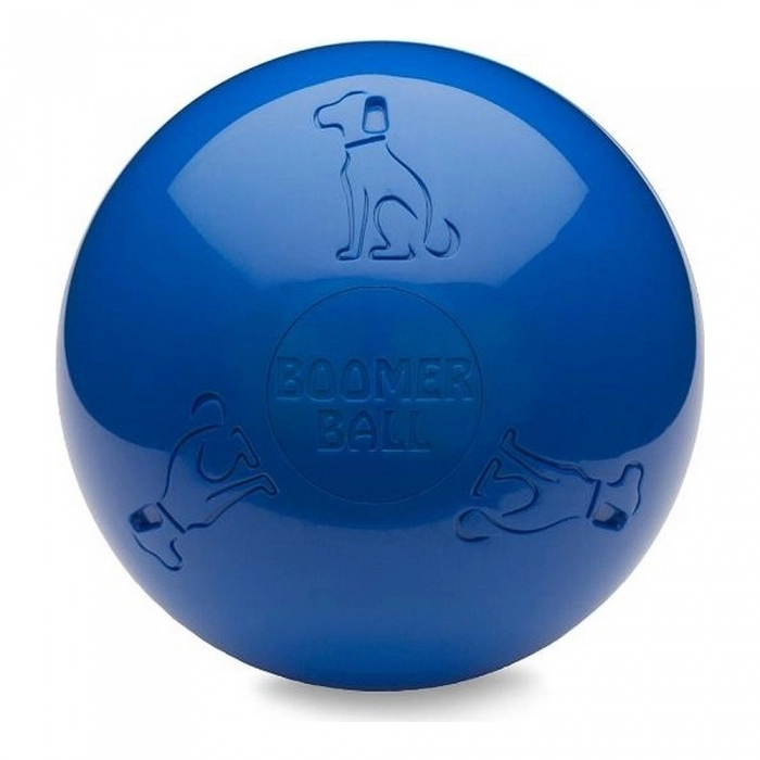 Juguete para perros Company of Animals Boomer Azul (150mm)