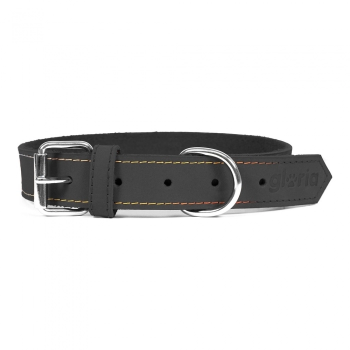 Collar para Perro Gloria Oasis Negro (55 x 2,5 cm)