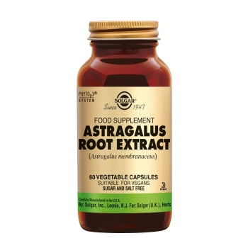 Astragalus Root Extract 60 Cápsulas