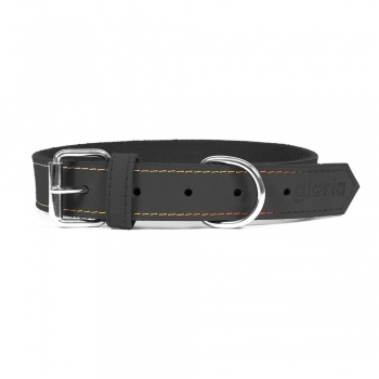 Collar para Perro Gloria Oasis Negro (1,2 x 35 cm)