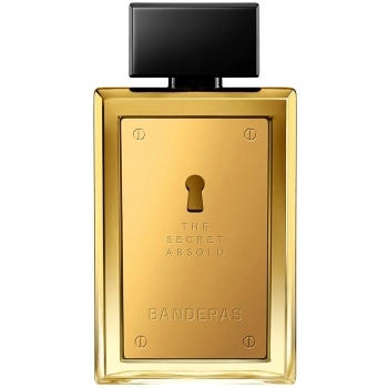 The Secret Absolu