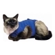 Camiseta de Recuperación para Mascotas KVP Azul (84-94 cm)