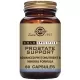 Gold Specifics® Prostate Support - 60 Cápsulas vegetales Gold Specifics® Prostate Support - 60 Cápsulas vegetales