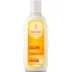 Champú Reparador con Avena 190ml Champú Reparador con Avena 190ml