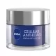 Nivea Cellular Anti-Age Crema de Noche 50ml Nivea Cellular Anti-Age Crema de Noche 50ml