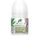 Desodorante Aceite de Cáñamo 50ml Desodorante Aceite de Cáñamo 50ml