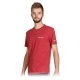 Camiseta de Manga Corta Hombre Champion Crewneck Talla L Rojo Camiseta de Manga Corta Hombre Champion Crewneck Talla L Rojo