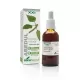 Abedul Extracto Natural 50ml