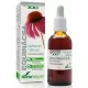 Extracto Natural de Equinácea Extracto Natural de Equinácea
