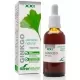 Extracto Natural Ginkgo Biloba Extracto Natural Ginkgo Biloba