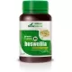 Green Vit & Min 09 Boswelia Green Vit & Min 09 Boswelia