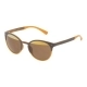 Gafas de Sol Unisex Police SPL162V506L2H (50 mm) Marrón (ø 50 mm)