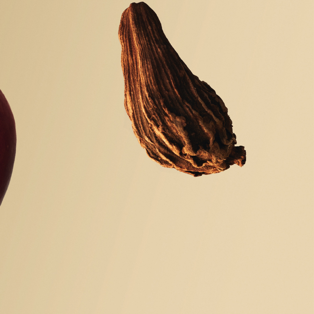 Aceites de Cardamomo
